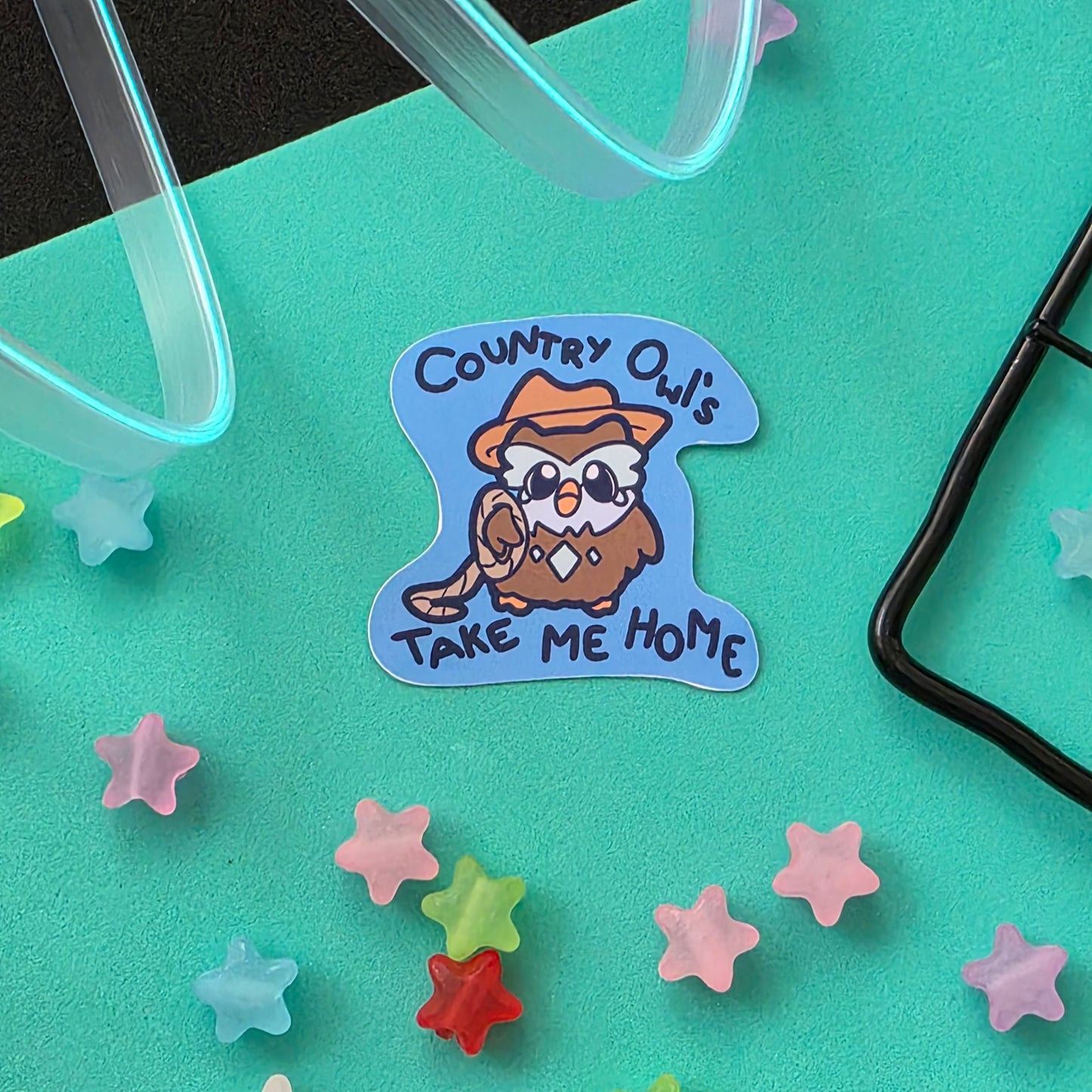 Country Owls Sticker